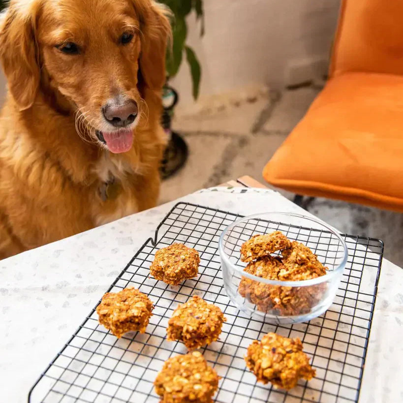 Pulpy Dog Treats